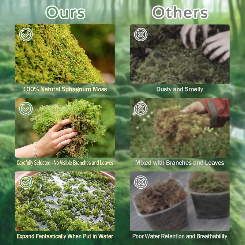 Riare 1.1LB Premium Sphagnum Moss for Reptiles- 25QT Natural Reptile Moss Dried, Forest Live Moss for Terrarium, Frogs Snake Peat Moss Bedding for Leopard Gecko Turtle Anoles Salamanders Orchid - Image 4